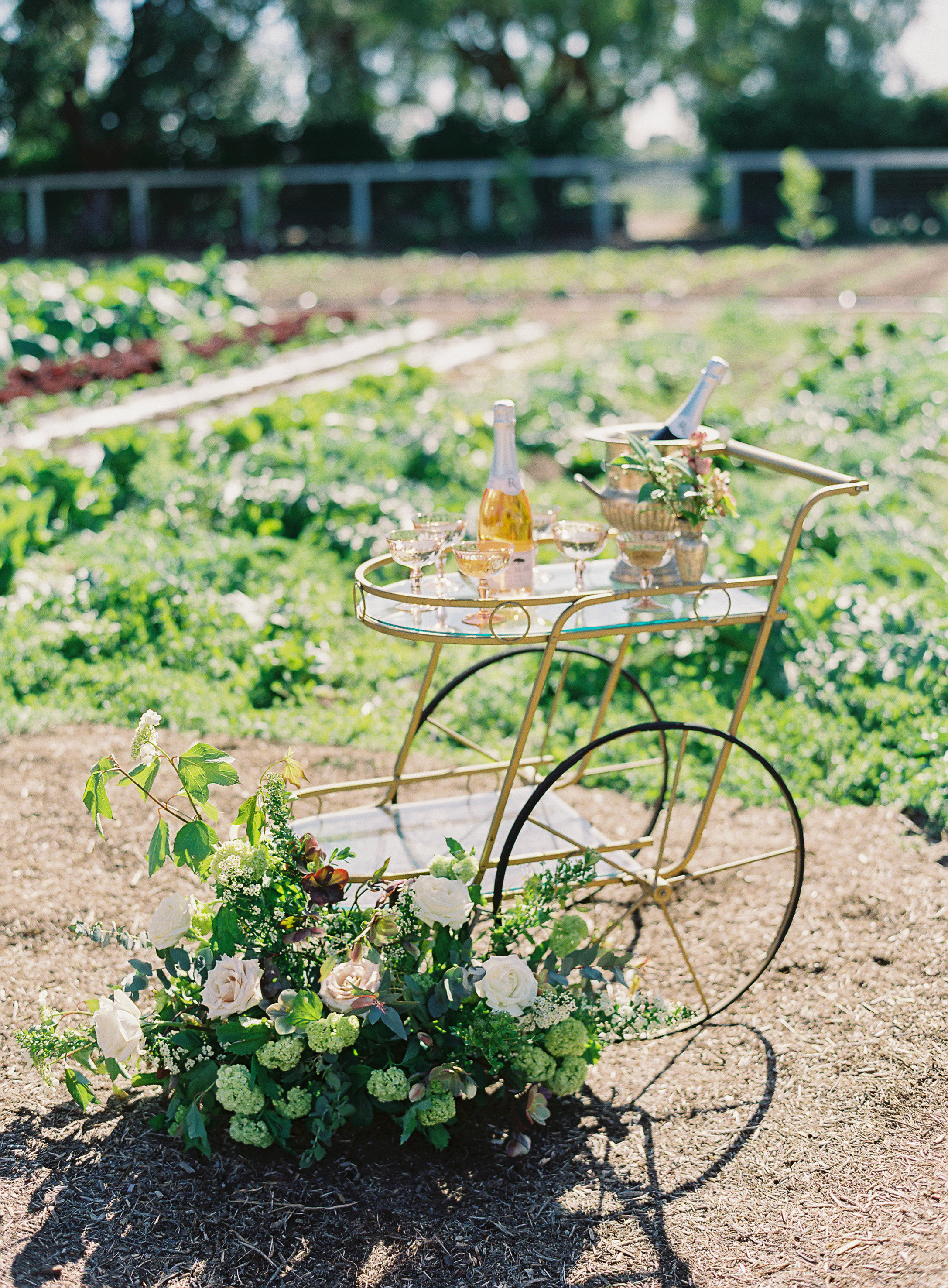Whimsical floral bike installation in a garden field